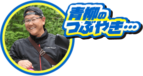 青柳のつぶやき