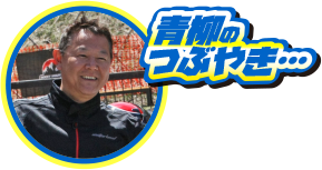 青柳のつぶやき