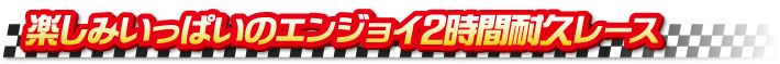 楽しみいっぱいのエンジョイ2時間耐久レース 楽しみいっぱいのエンジョイ2時間耐久レース