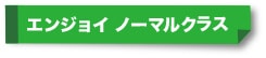エンジョイノーマルクラス
