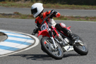GALLERY OF SPORT 150M ENDURANCE RACE