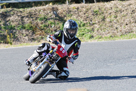 GALLERY OF SPORT 150M ENDURANCE RACE