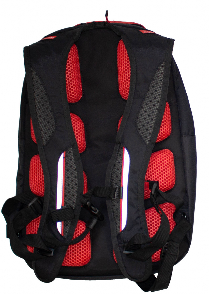 ALPINESTARS&マルケスコラボBack Pack