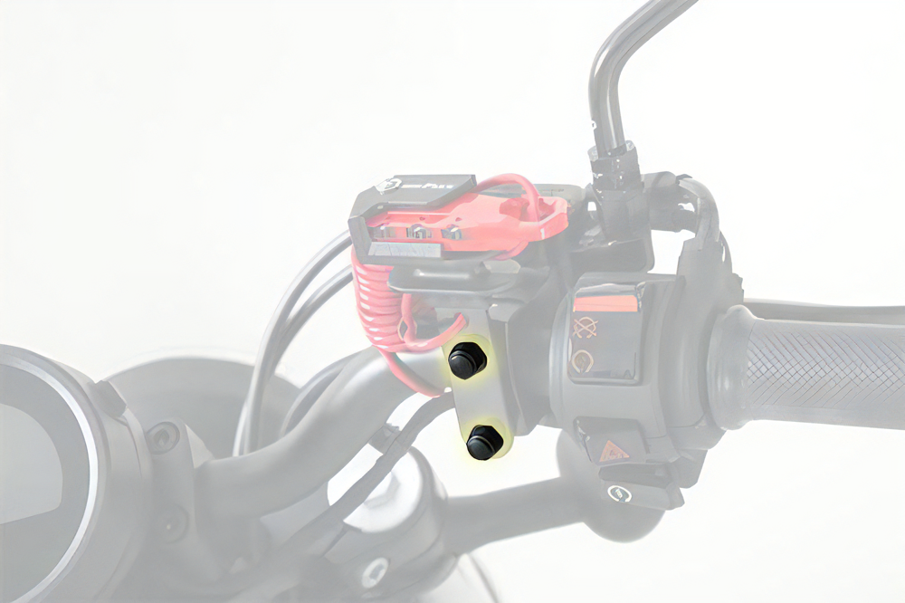TANAX ヘルメット用ワイヤーロック ２りんかん