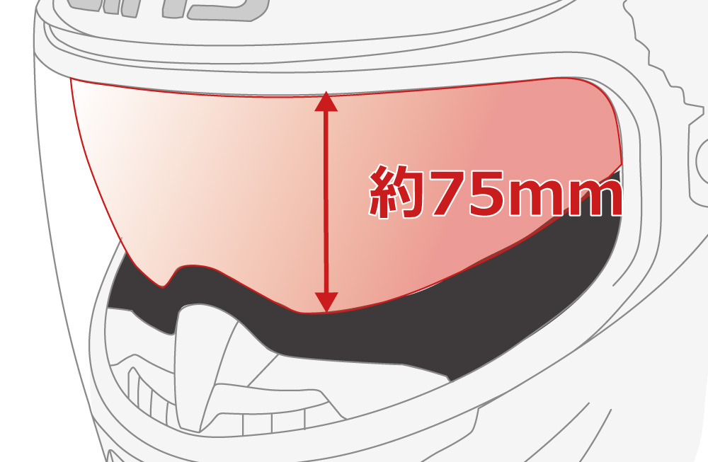 WINS JAPAN G-FORCE STEALTH|2りんかんカラー