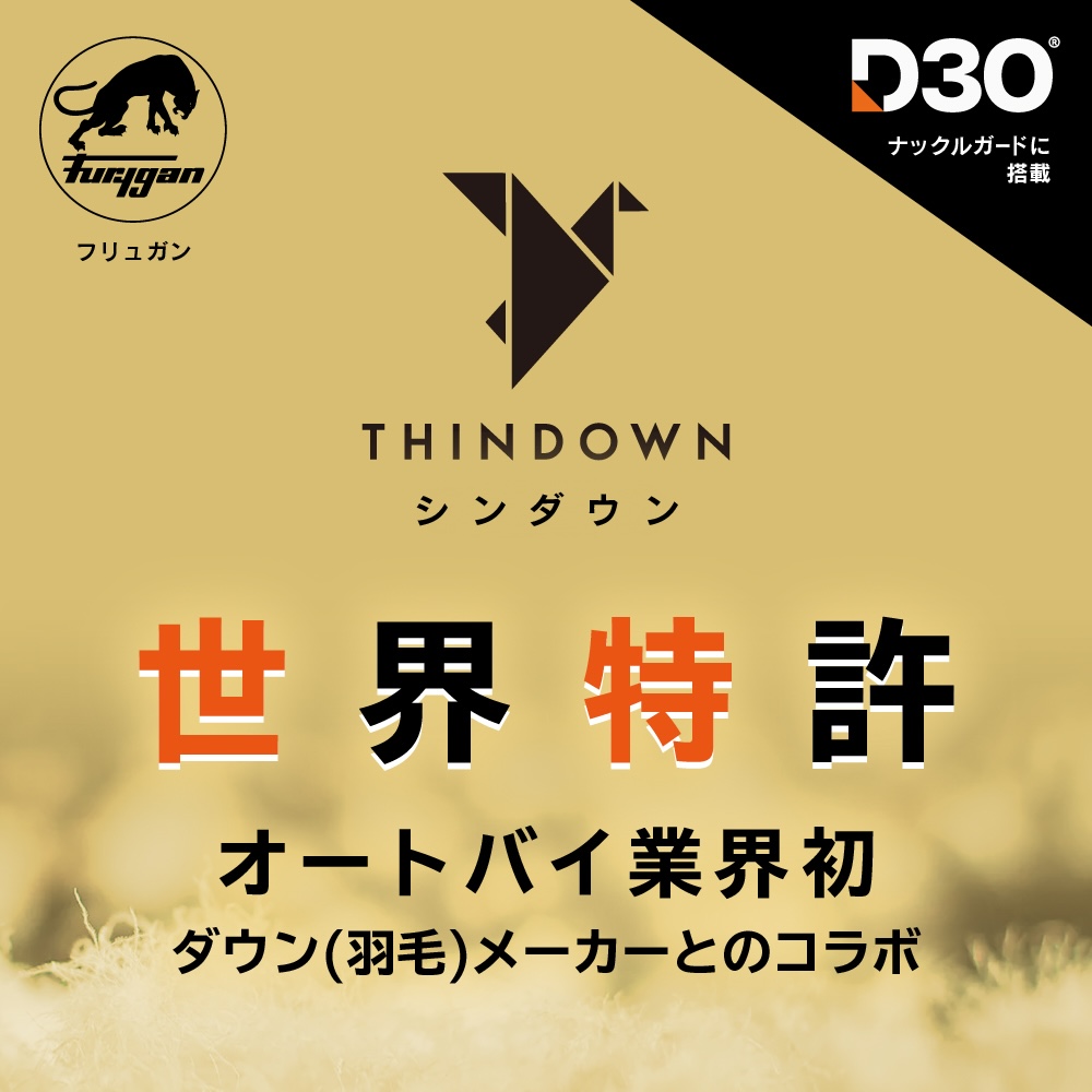 フリュガン シンダウングローブ|2りんかん