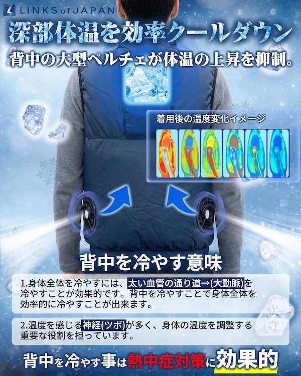 冷暖BODY サーモベスト｜２りんかん