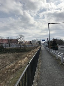 IMG_1395