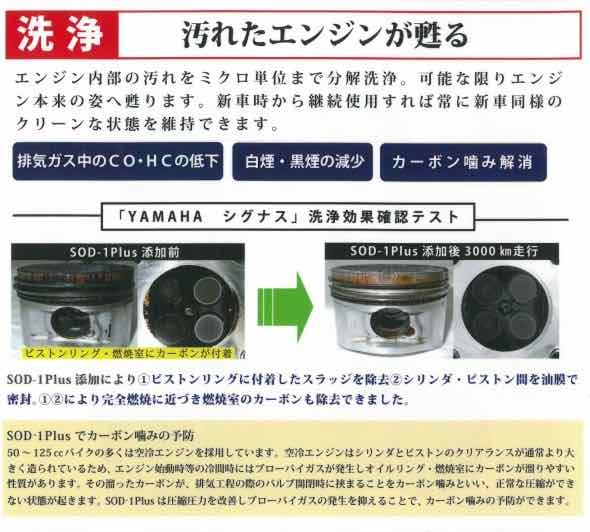 SOD1説明POP